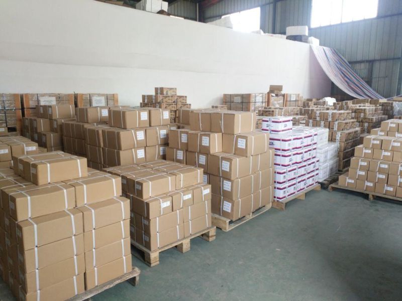 Spark Plugs Wholesales Supplier High Quality Ngk
