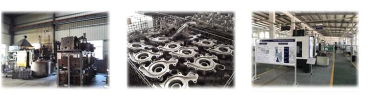 Car Parts Coolant Water Pump for Toyota Granvia/ Hilux VI Pickup/ Land Cruiser 90 3.4/3.4i 16100-69395/96