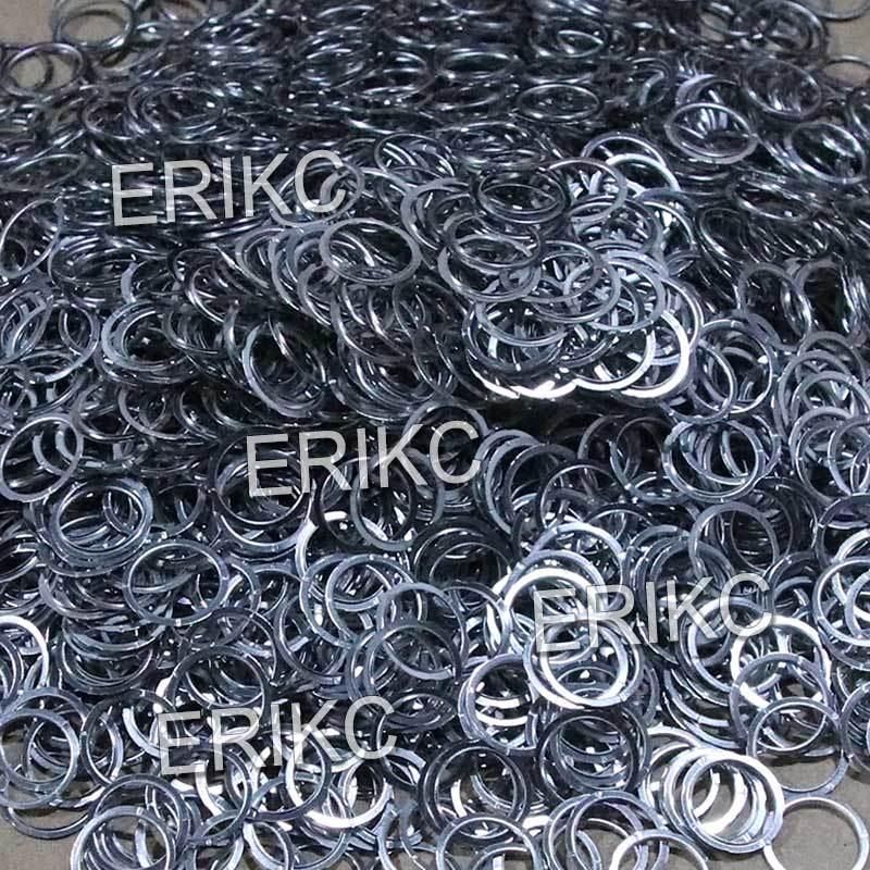 Erikc Diesel Fuel Injector Valve Repair Kit F00vc99002 F00rj02177 Ceramic Ball F00vc05008 F00vc05009 Steel Ball F00vc05001 for Bo Sch