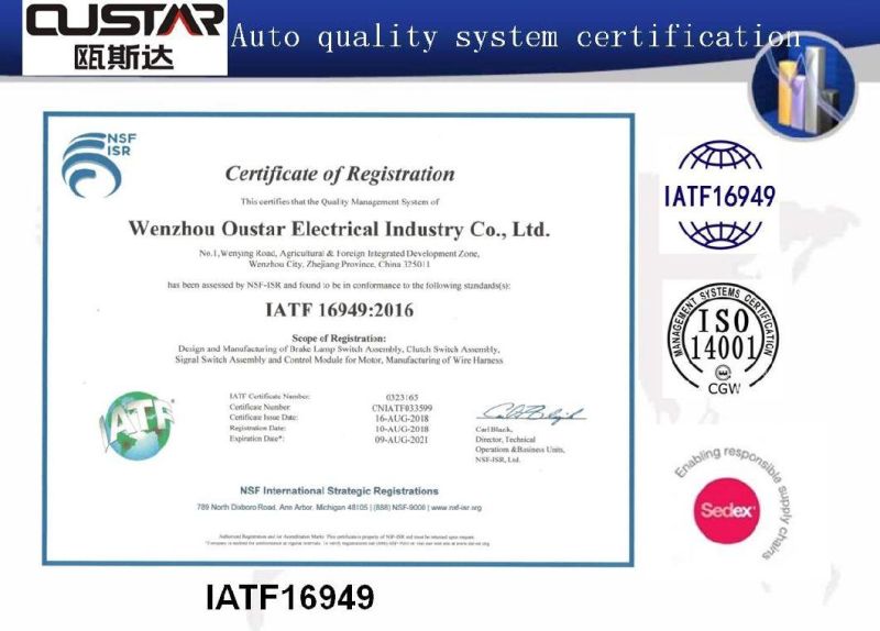 OEM: 11517597715 11517571508, Engine N20, Automobile Electric Water Pump Car Aftermarket Replacement for BMW