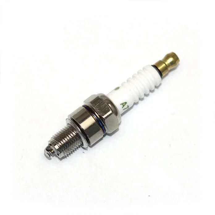 High Quality Motorcycle Spark Plug C7hsa A7tc