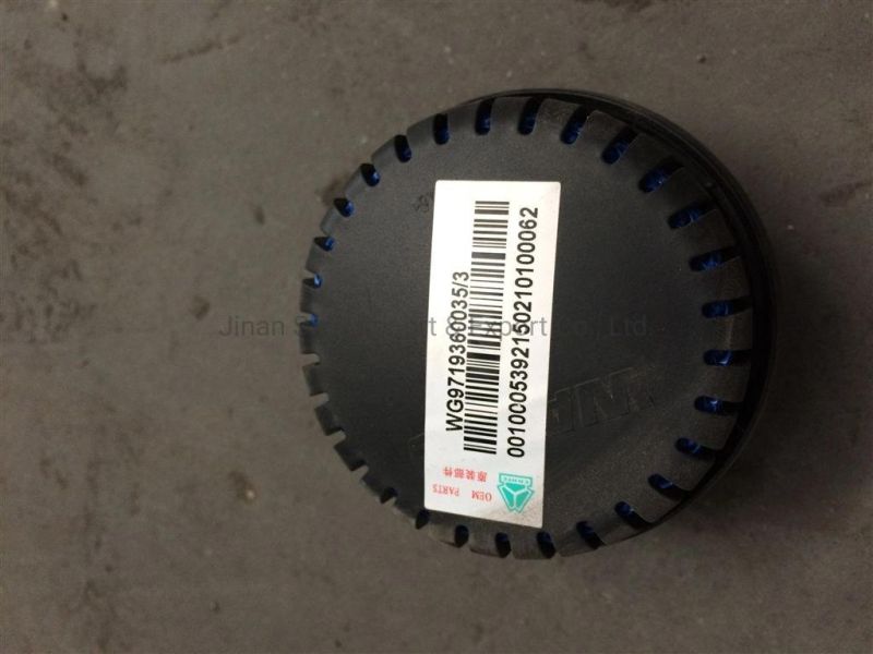 Sinotruk HOWO A7 371 Truck Spare Auto Parts Wg9719360032 Wg9719360035 Dryer Muffler Assembly