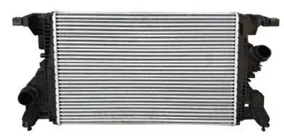 Car Parts Intercooler for Mercedes Benz a-Class W177 2019 (OEM A2475000100)