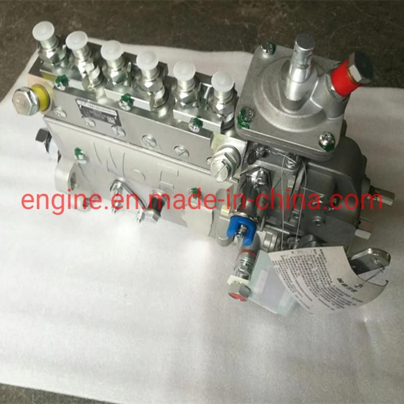 6bt5.9 Engine Fuel Pump 3971476 3971477 6bt5.9-C135 3977402