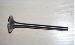 Intake Valve -for JAC Gwm Actros Man Toyota