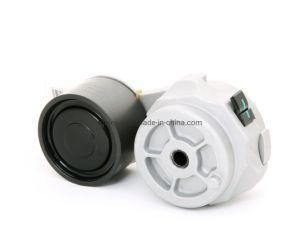 China-Pulley-Auto-Accessory-Belt-Tensioner-for-Engine-Truck-Img_0569