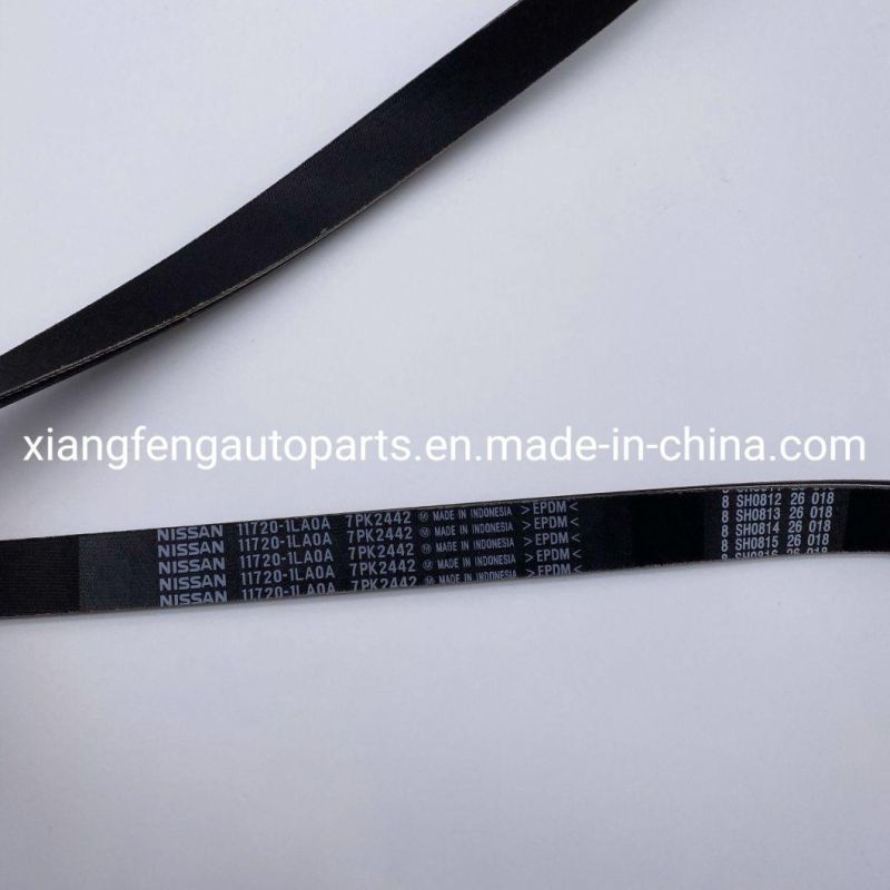 Automotive Rubber Fan Belt for Nissan Patrol Y62 11720-1la0a 7pk2442