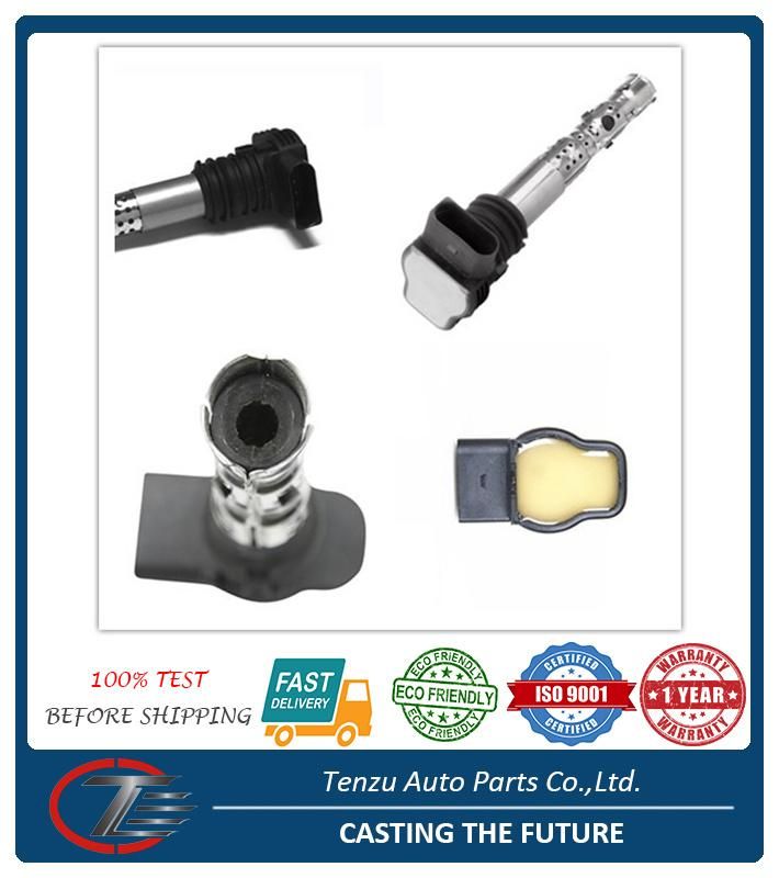 Ignition Coil for VW Jetta/Passat/Golf Audi A4/A6/Tt/A8 06b905115g 06A905115D UF-411