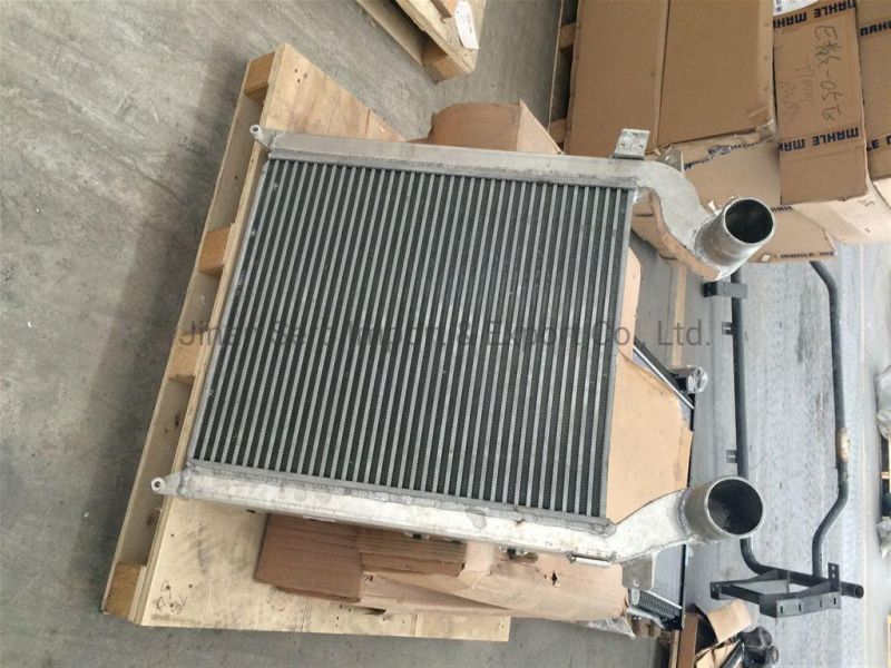 Heavy Truck Chassis Parts Intercooler Assembly Wg9325531302 for Sino HOWO Truck Auto Parts