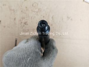 Sinotruk HOWO Heavy Truck Spare Parts Engine Fuel Injector Vg1095080085 for Sino Tractor Auto Parts