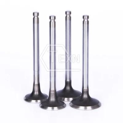 Engine Valve Intake Valve 035109601/035109601c/035109601f for Audi We/Wh/Wg /Jw /Wb/Wc /RS
