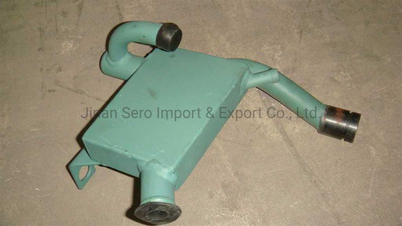 Sinotruk HOWO Truck Spare Parts Diesel Wd615 Engine Parts Oil Separator Asssy Vg1095010050