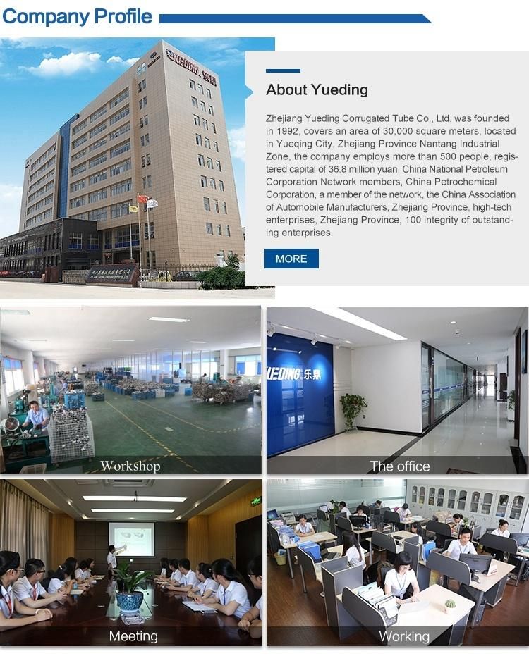 High Pressure Stainless Steel Flexible Metal Hose Pipe Price