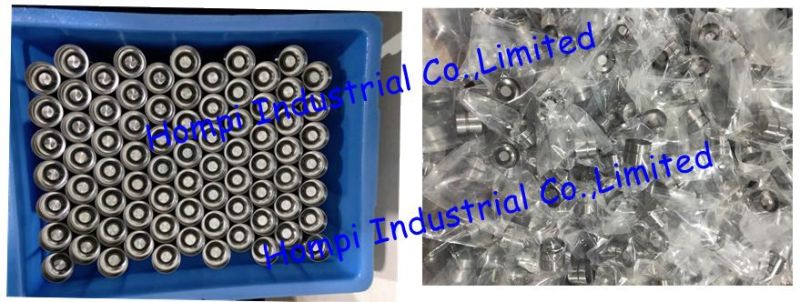 Auto Engine Parts Hydraulic Valve Tappet/Valve Lifter BMW 11331433672 MD072177 2899856 60617014 F1ae6c501bb