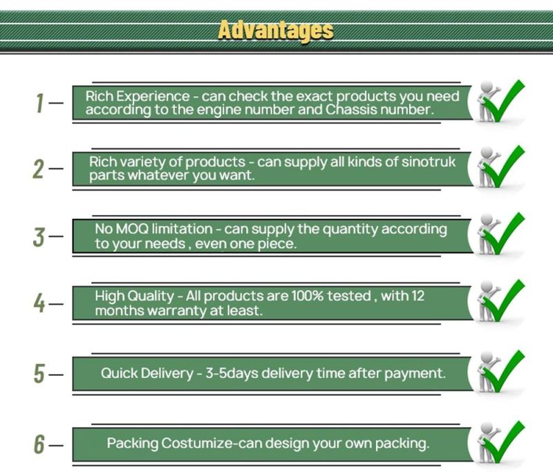 Factory Direct Supply Heavy-Duty Truck Spare Parts Starter for HOWO
