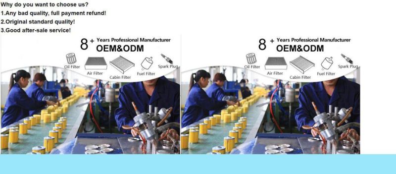 30758130 for S80 V70 Spark Plug Manufacturer with Competitive Price