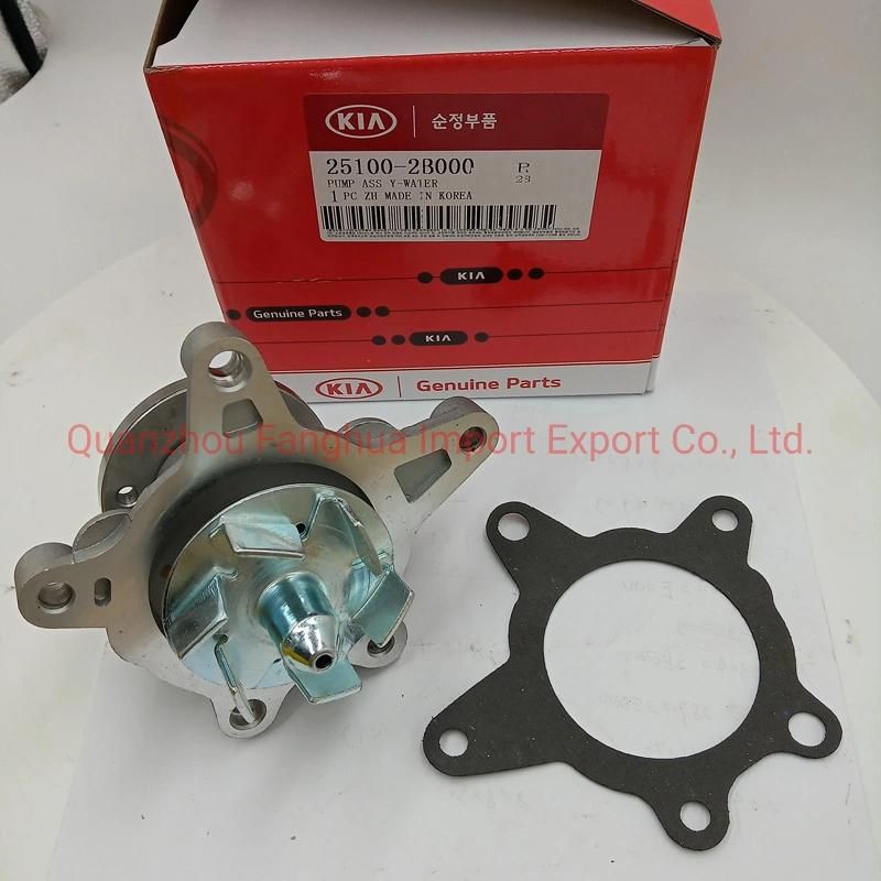 Cooling System 251002b000 251002b010 251002b710 251002b700 Used Small Water Pumps for Sale
