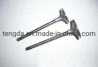 Hot Sale EQ474 Engine Valve Dfsk Dfm Sokon Minivan Minibus Minitruck