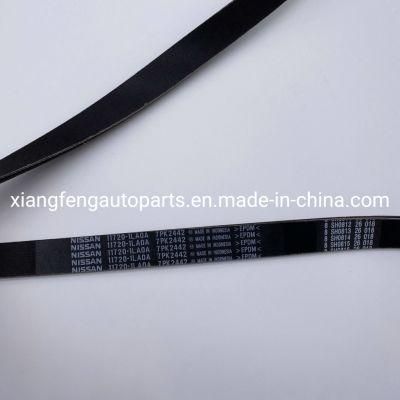 Automotive Rubber Fan Belt for Nissan Patrol Y62 11720-1la0a 7pk2442