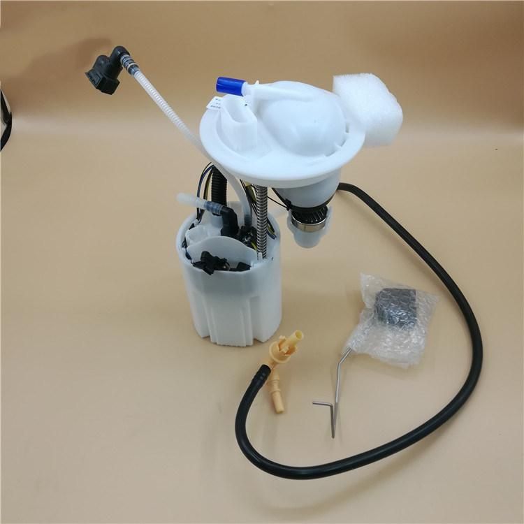 Auto Fuel Pump Assembly/Module for VW BS Passat B5 OEM 3bd 919 051c