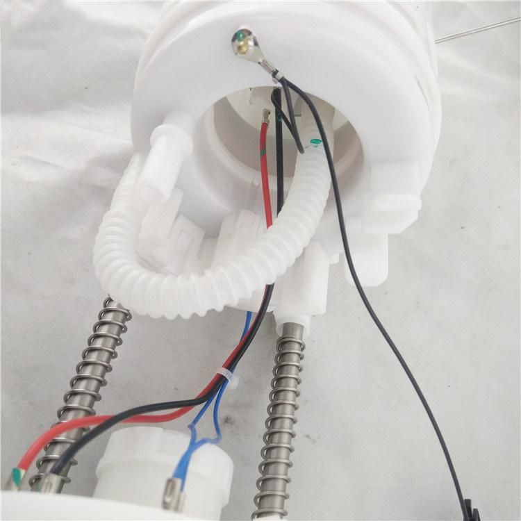 16117204762 Car Electric Fuel Pump Manufacturer for New BMW X6 F15 6 Bolt