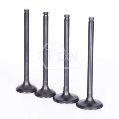 Engine Valve Intake Valve 13711-30030 for Toyota 1kd-Ftv