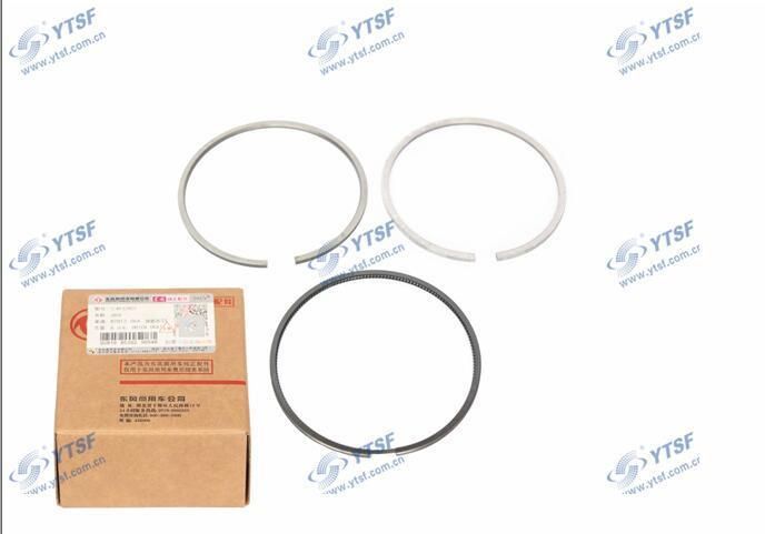 Isde Auto Spare Parts Isde Piston Ring C3971297/3976339/4932801