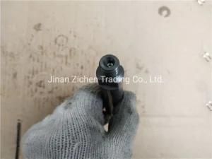 Sinotruk HOWO Shacman Truck Spare Auto Parts Engine Parts Fuel Injector 61560080305 Vg1560080305