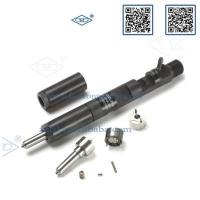D27dt Full Body Injector Ejbr02601z (A6650170121) Delphi Injector Ejb R02601z Ssangyong Ejbr0 2601z Fuel Pump Dispenser Injector