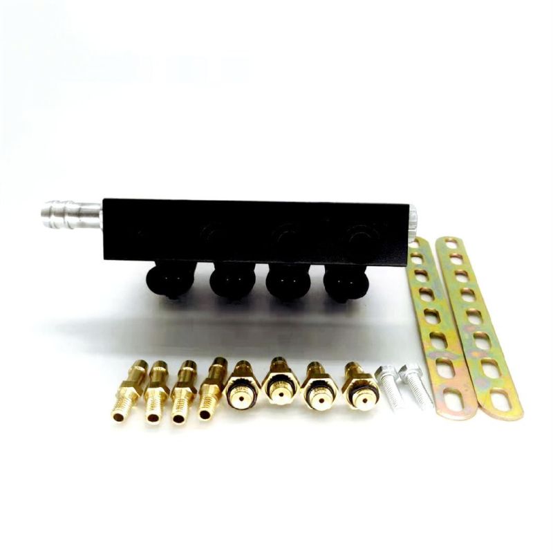 Llano Black 3ohm 4 Cylinder CNG LPG Injector Rail Ln-Ig1s for Gnv LPG Kit Made in China