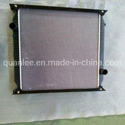 Radiator Wg9725530150 for Sinotruck HOWO Iron and Plastic Little Horse Power