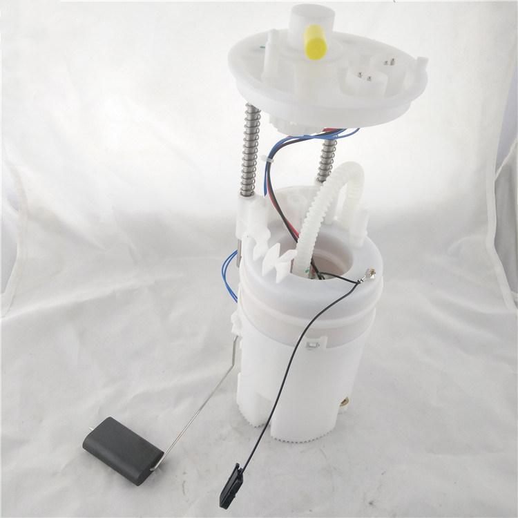 16117204762 Car Electric Fuel Pump Manufacturer for New BMW X6 F15 6 Bolt