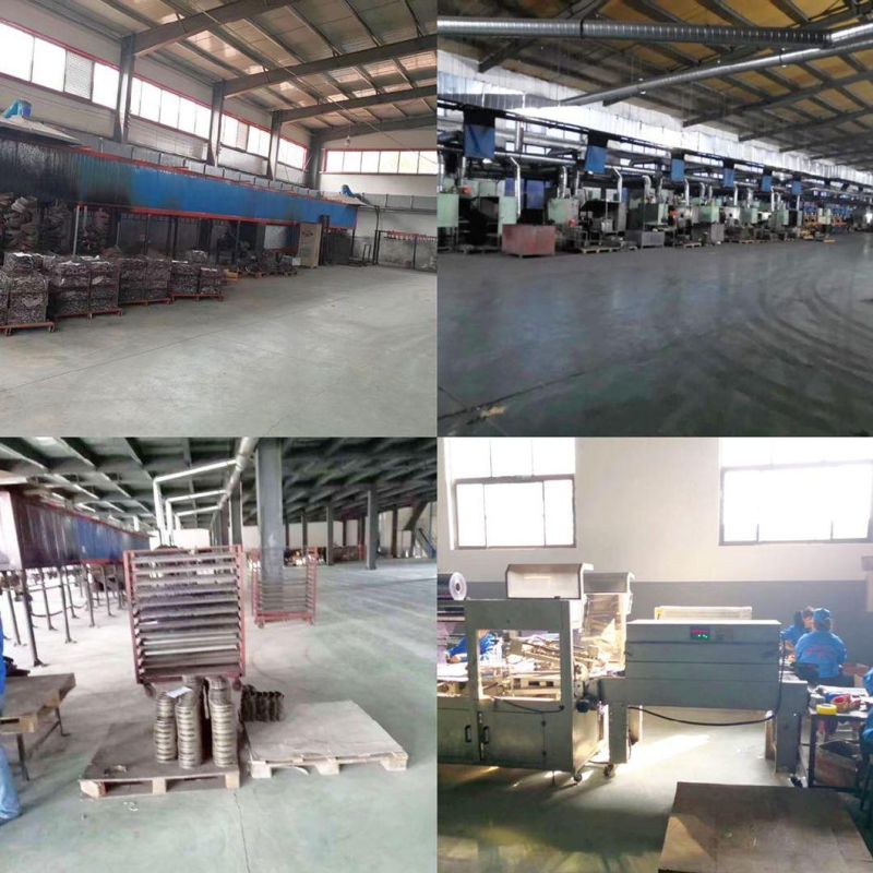Automobile Engine Pump Assay Fuel Injection Pumps Assembly 6650700401 A6650700101 A6650700301