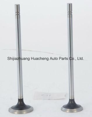 Auto Diesel Spare Parts Engine Valve for Cat C15