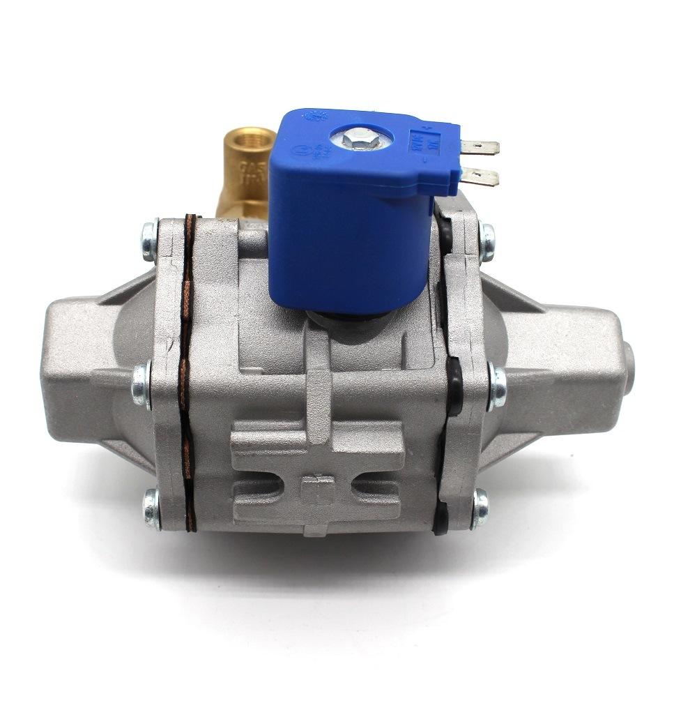 Llano At12 CNG Reducer for Car CNG Sequential Injection Systems