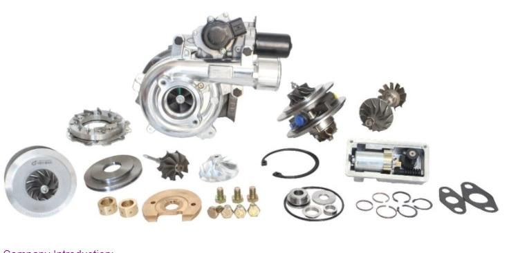 for Nissan Pathfinder, Navara BV45 Turbo Core 53039880337