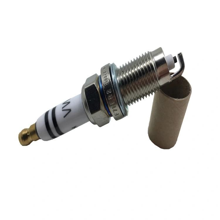 101905601f 0241235769 for Best Quality for Audi Spark Plug
