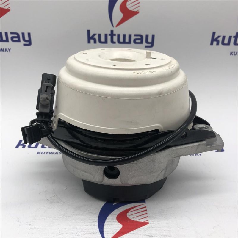 OEM: 1662406817 Fit for Mercedes-Benz Gl (X166) Gl350 Kutway Engine Mount