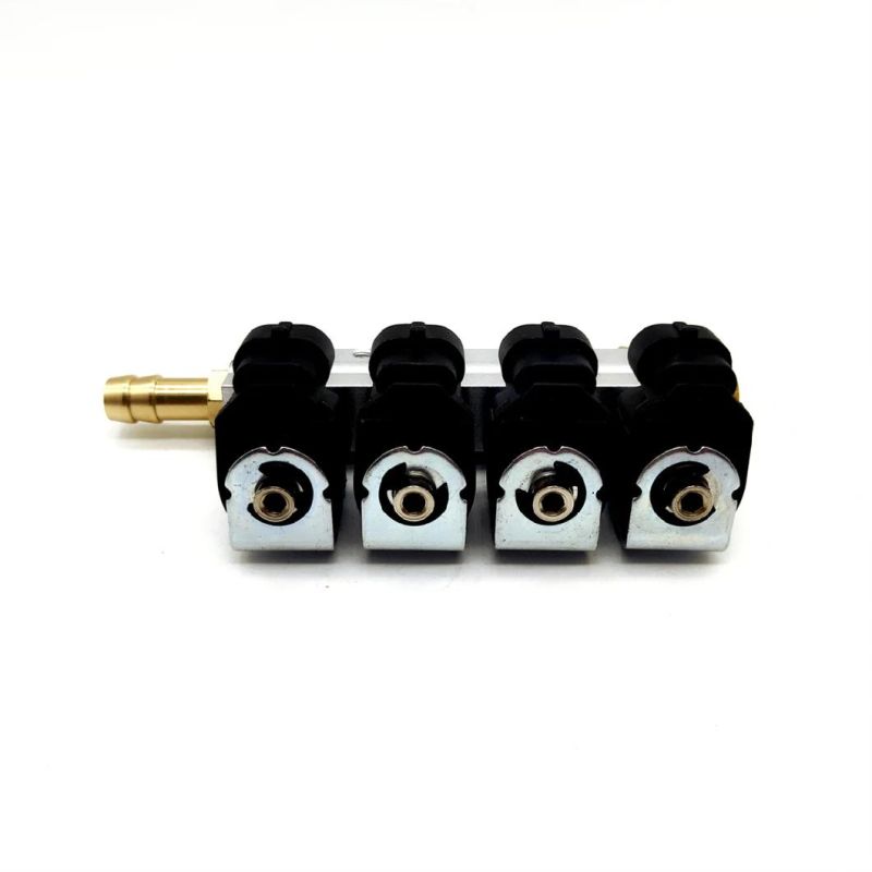 Llano 3ohm 4 Cylinder CNG LPG Injector Rail Ln-Acw04 for 4 Cylinder Automotive Gpl Vng Gnv Conversion Kit