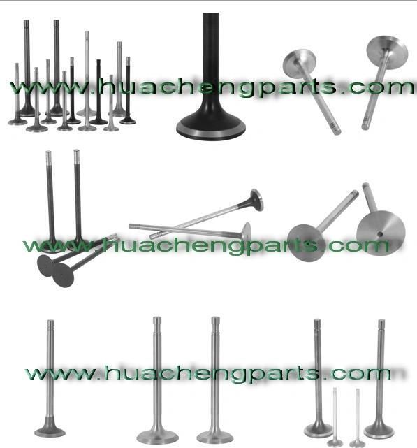 Weichai Power Diesel Engine Valve for Wp13