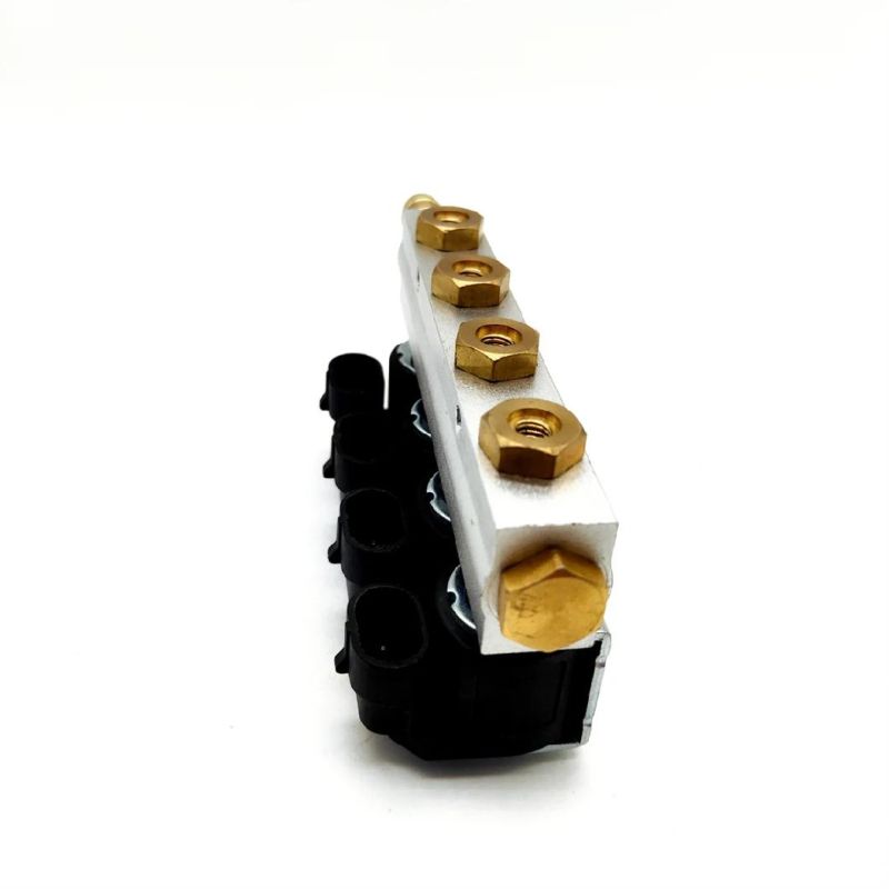 Llano 3ohm 4 Cylinder CNG LPG Injector Rail Ln-Acw04 for 4 Cylinder Automotive Gpl Vng Gnv Conversion Kit