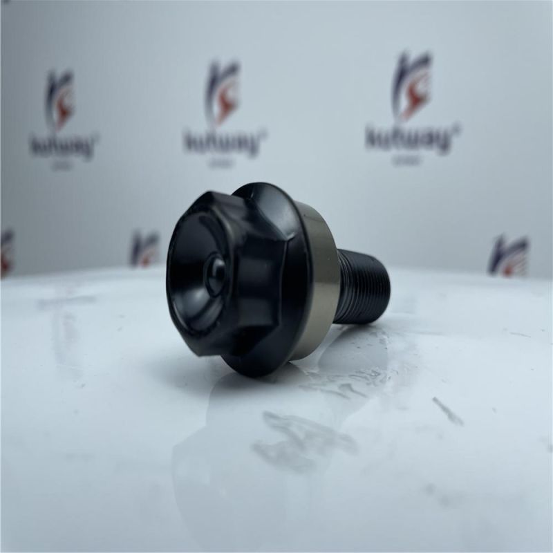 OEM: Wht006978 Fit for Alloy Wheel Black Kutway Lug Bolt