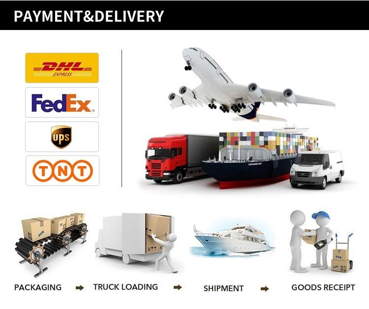 Auto Parts Electric Fuel Pump for Toyota Honda Nissan Suzuki Lexus Mazda Mitsubishi Hino Japanese Cars