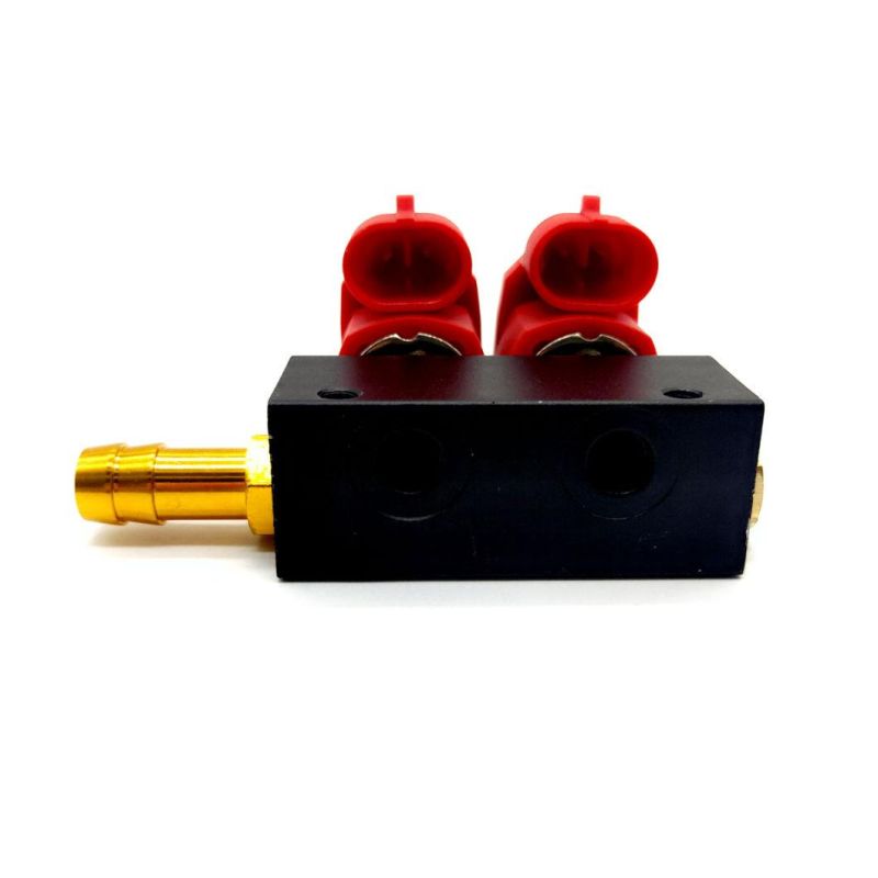 Llano Red LPG CNG Rail Injector Ln-Lvtk02 for 2-Cylinder Gpl Gnv Engines
