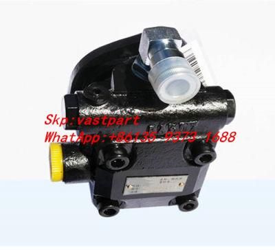 Dongfeng Truck Power Steering Pump 4988325 4988390 3900071 3900254 3900267