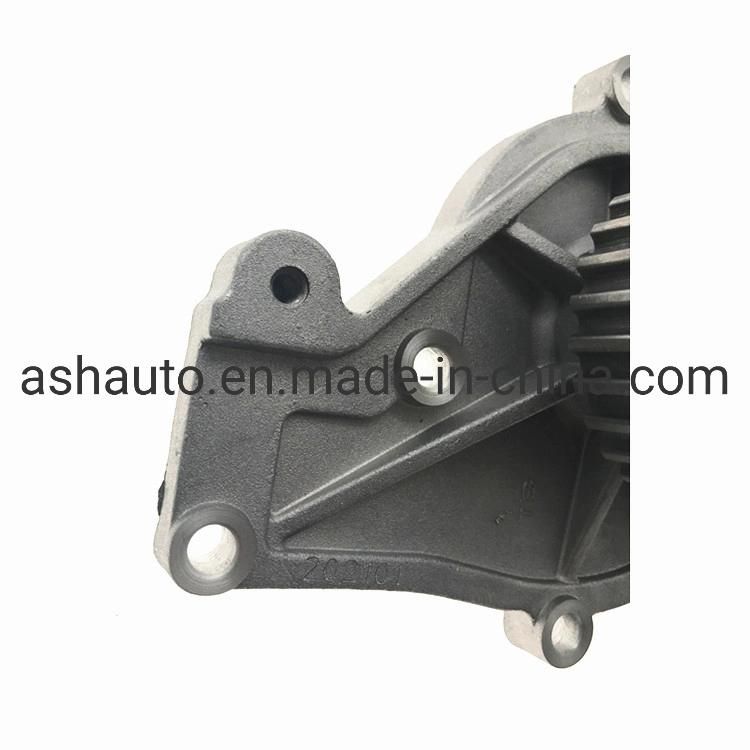 Chery Water Pump for A5 Fora Elara Alia Tiggo 3 Engine 481 Original & Aftermarket Parts 481h-1307010