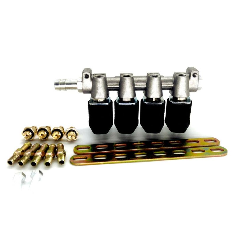 Llano Ln-Lig1 4 Cylinder Injector Rail for LPG CNG Cars