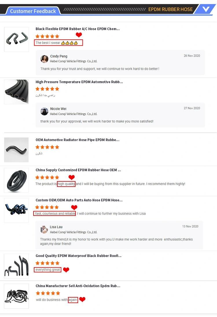 17127596833 Hot Sale Auto Parts Radiator Coolant Hose for BMW
