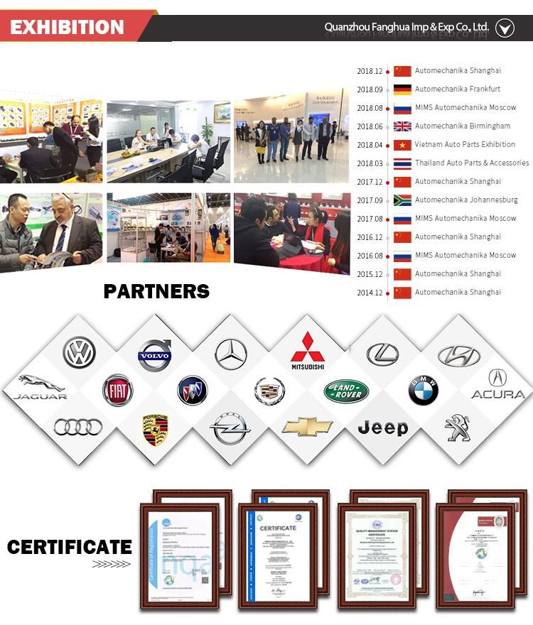Professional Manufacture Auto Parts Fuel Pump Assembly 96447642 96537125 with Certificate