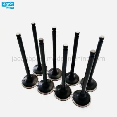 JAC Car Parts Intake Valve for Refine Rein
